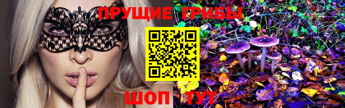 Псилоцибиновые грибы Psilocybe  Вход с VPN  Галлюциногенные грибы ЛСД  Карачаевск 